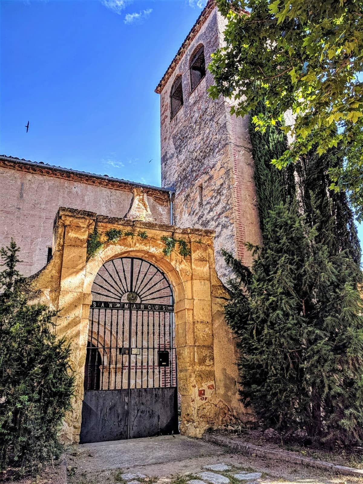 Vertical photo
