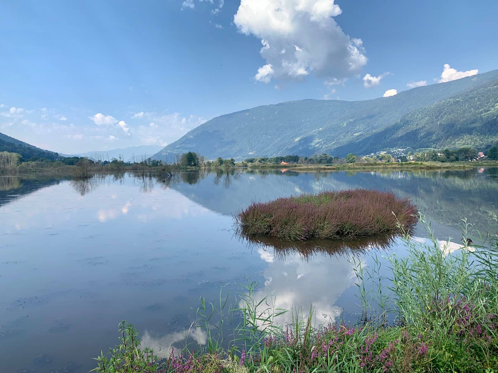 Scenic Walking Trails