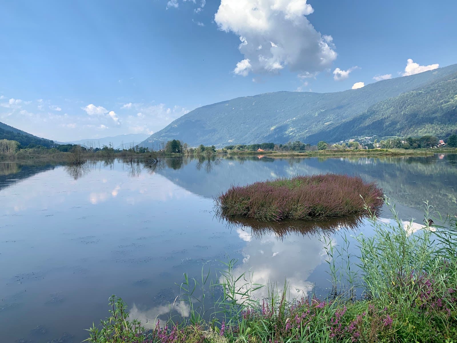 Bleistätter Moor - Image 1