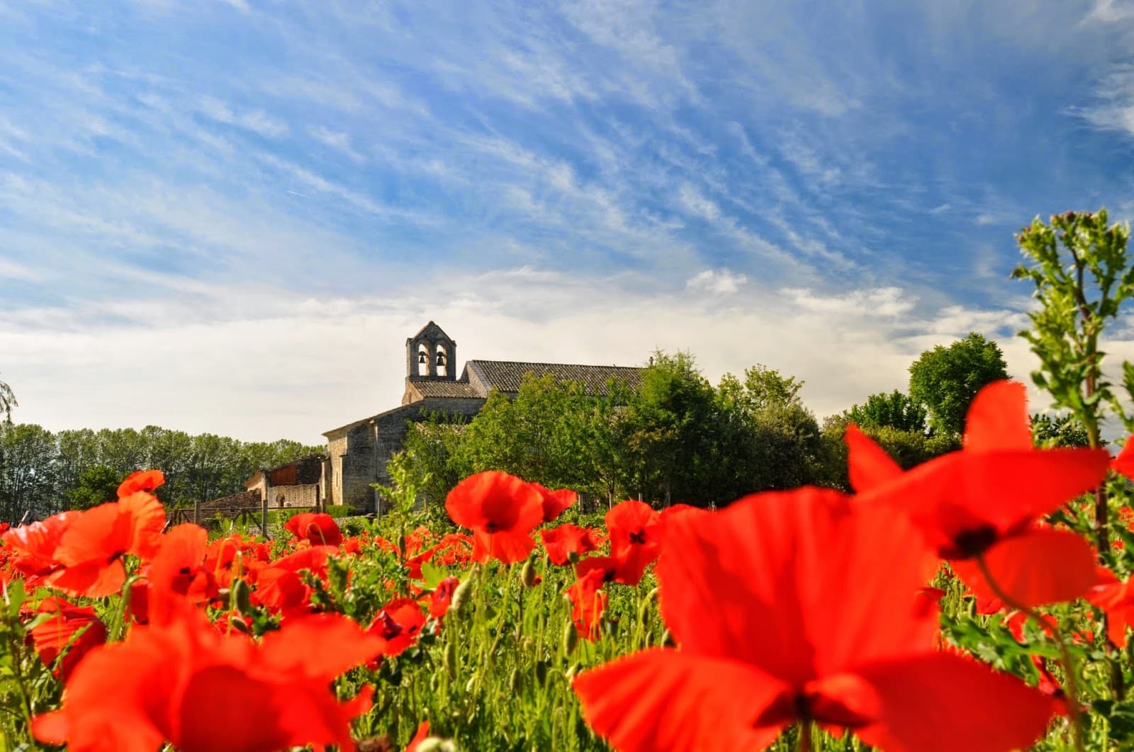 Salagon Museum and Gardens - Image 1