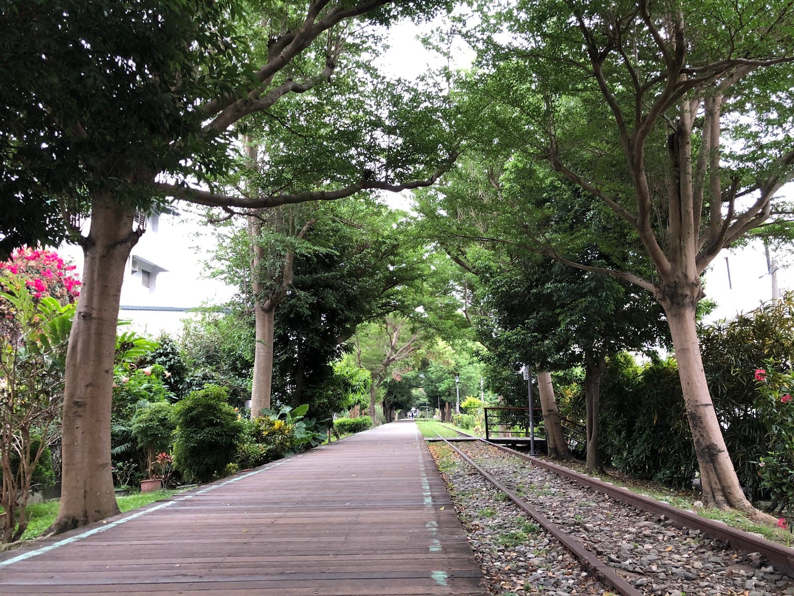 Taitung Railway Green Corridor - Image 1
