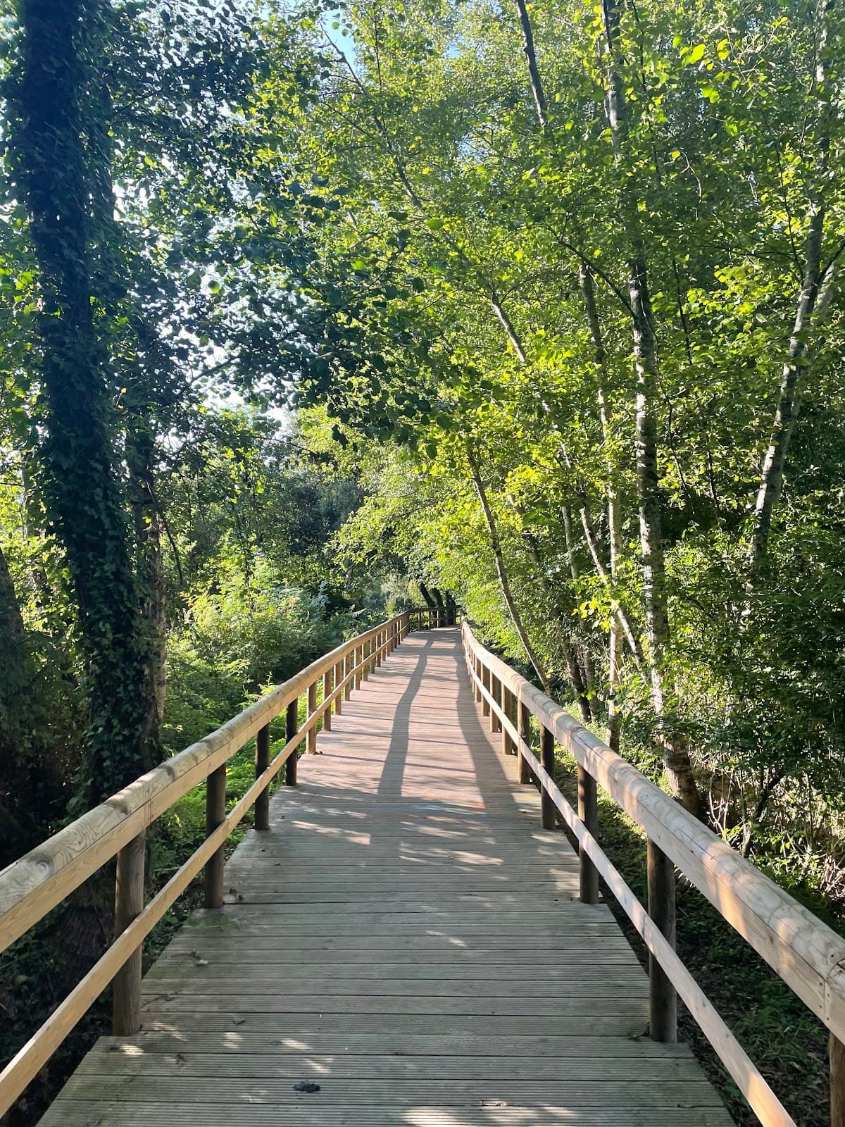 Passadiços do Rio Uíma - Image 1