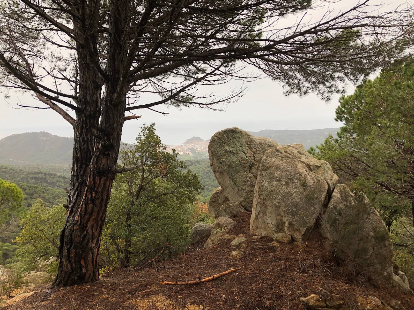 Birdwatching Opportunities