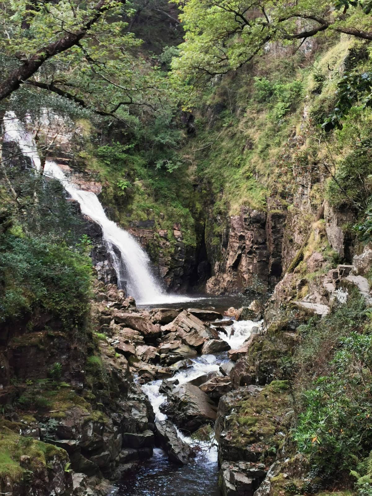 Vertical photo