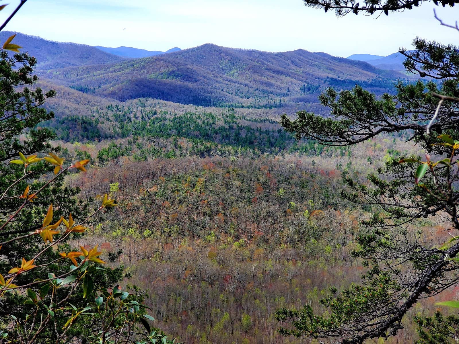 Pisgah National Forest Scenery
