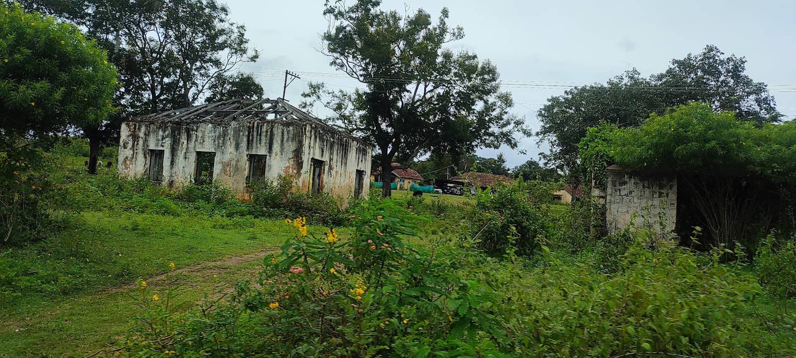 Nilgiri Biosphere Reserve