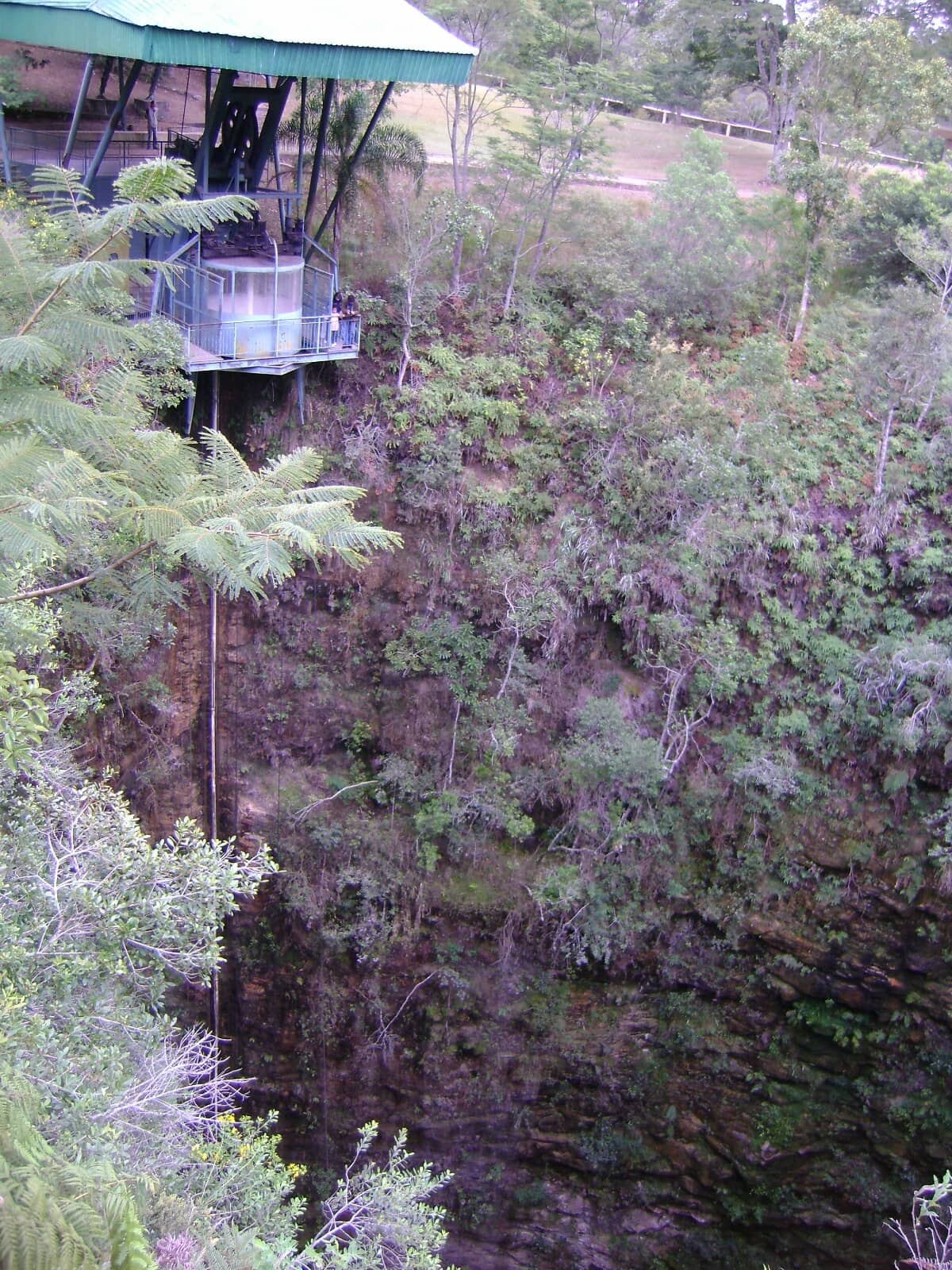 Vertical photo
