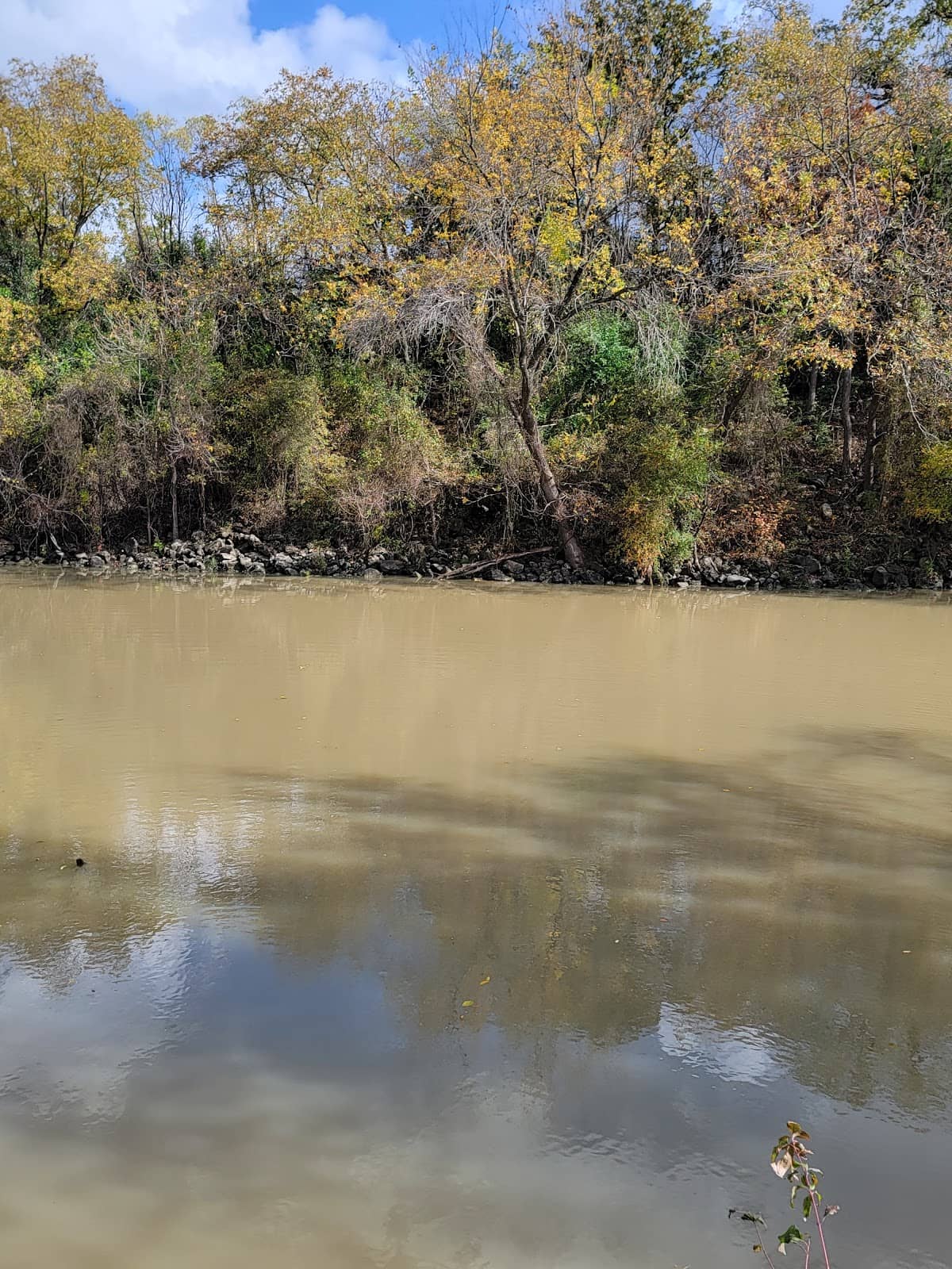 Family Fishing Spot