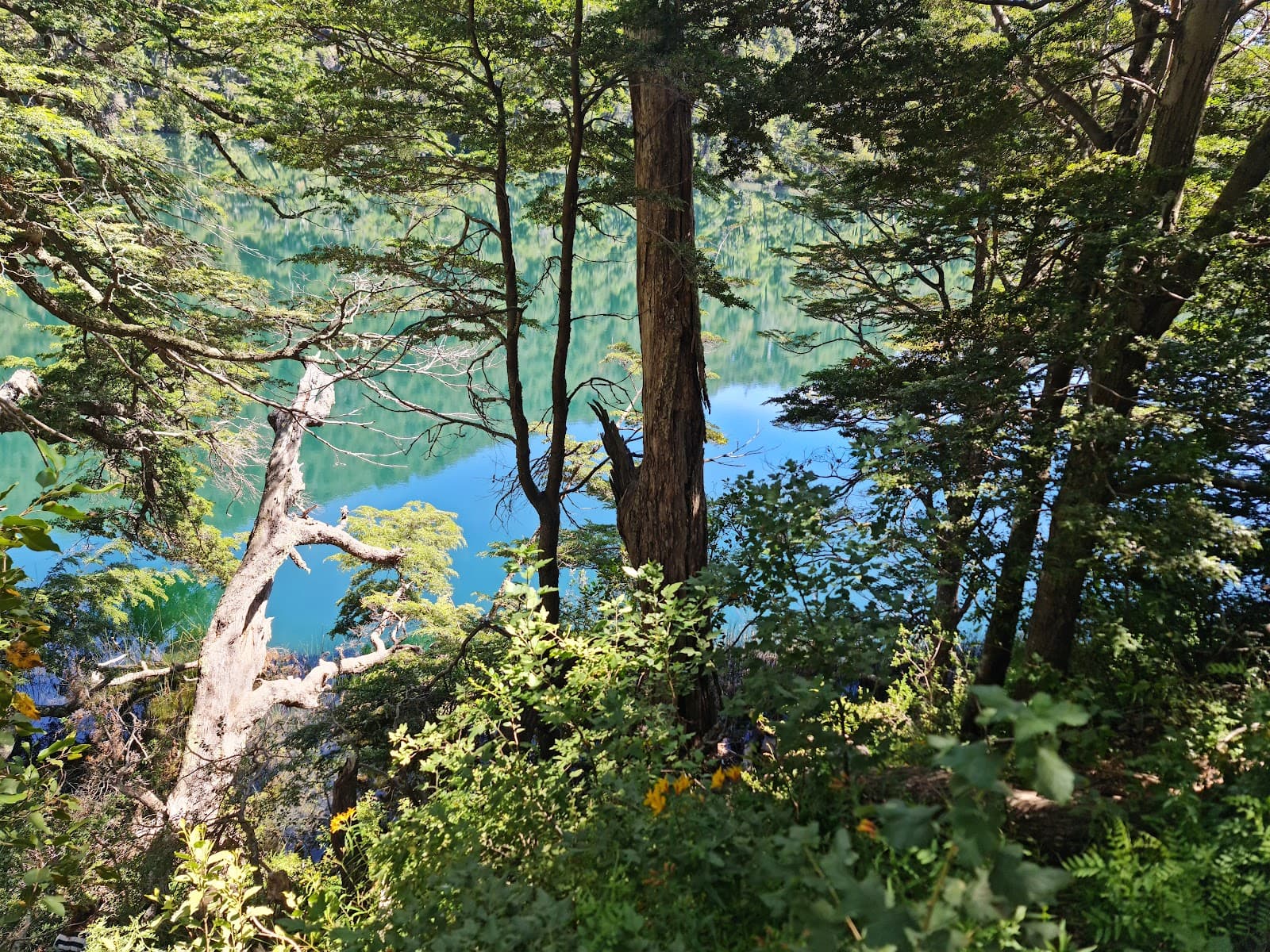 Lago Escondido - Image 1