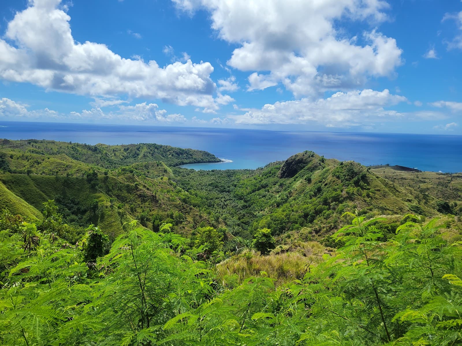 Cetti Bay Overlook - Image 1