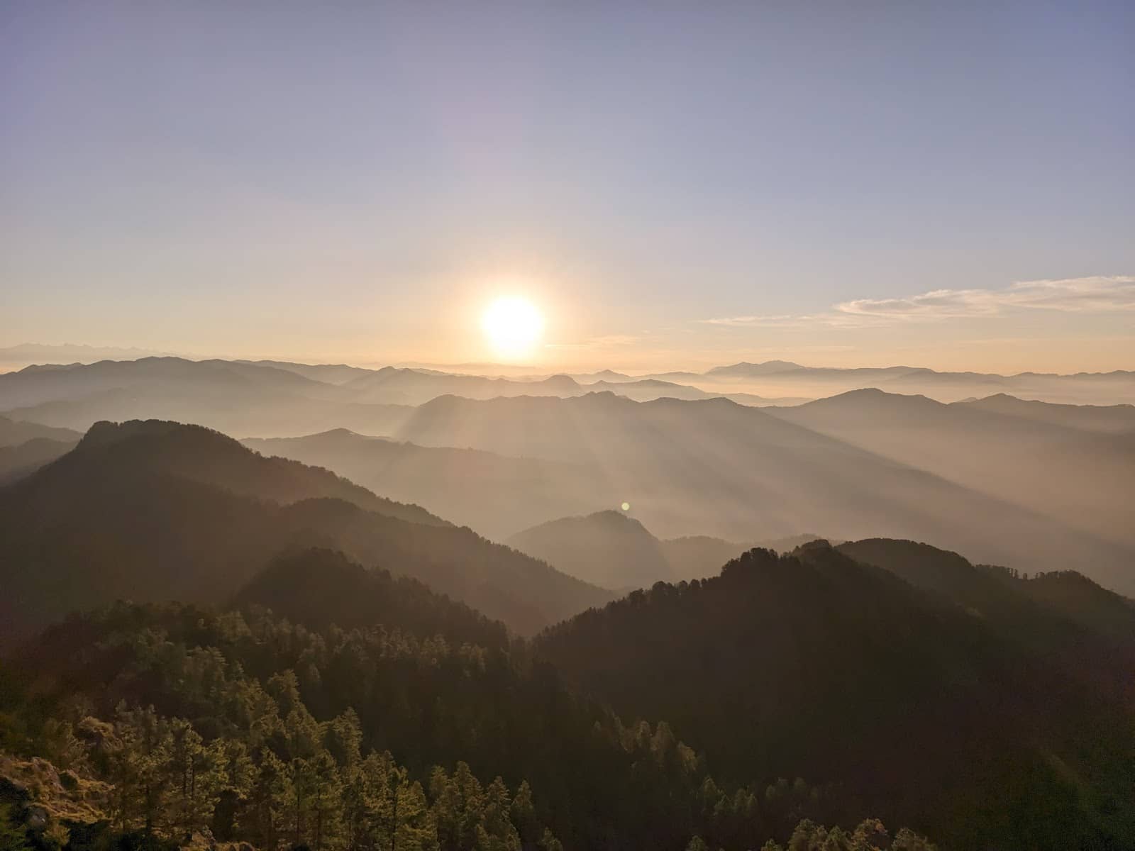 Deodar Forest Trek