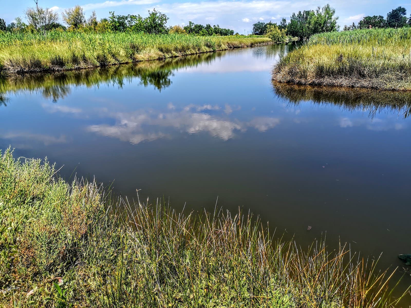 Sant'Erasmo Island - Image 1
