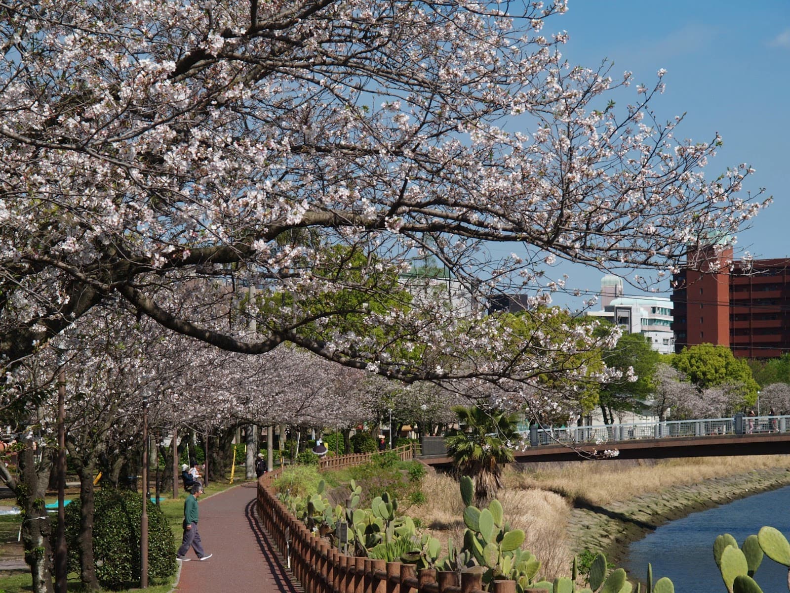 Kotsuki River Promenade - Image 1