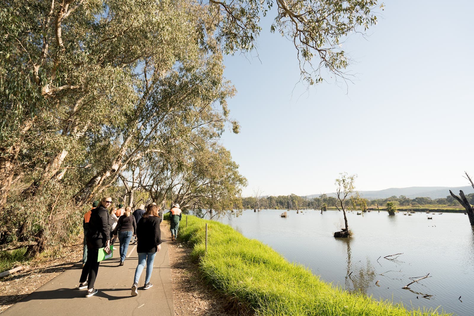 Murray River Railway Bridge - Image 1