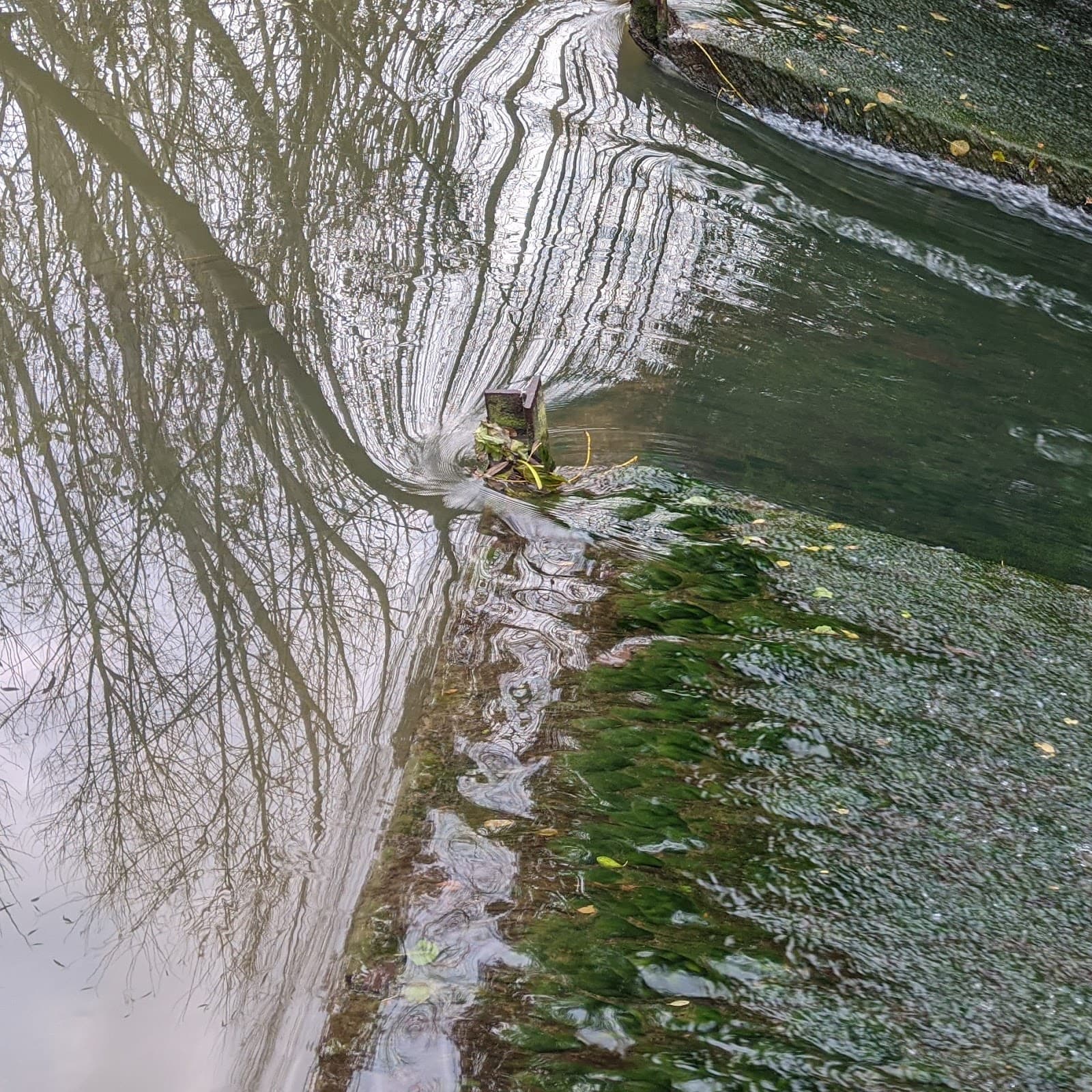 Swift Ditch - Image 1