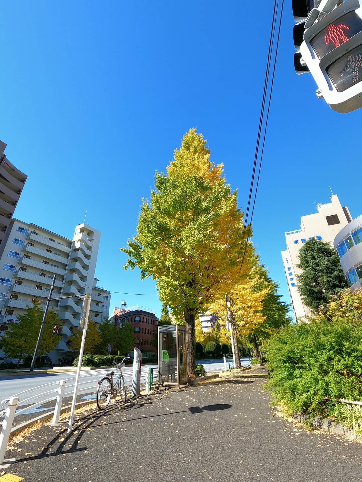 Vertical photo