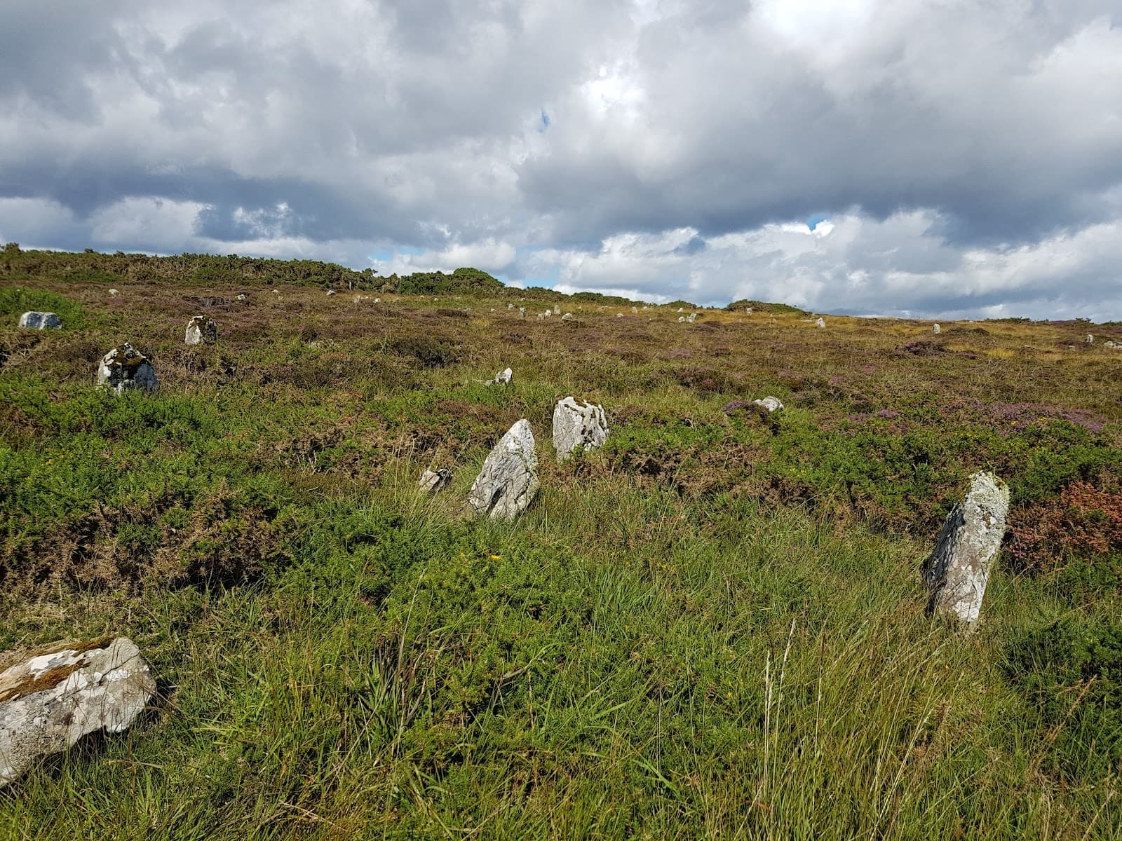 Hill Oβ Many Stanes - Image 1