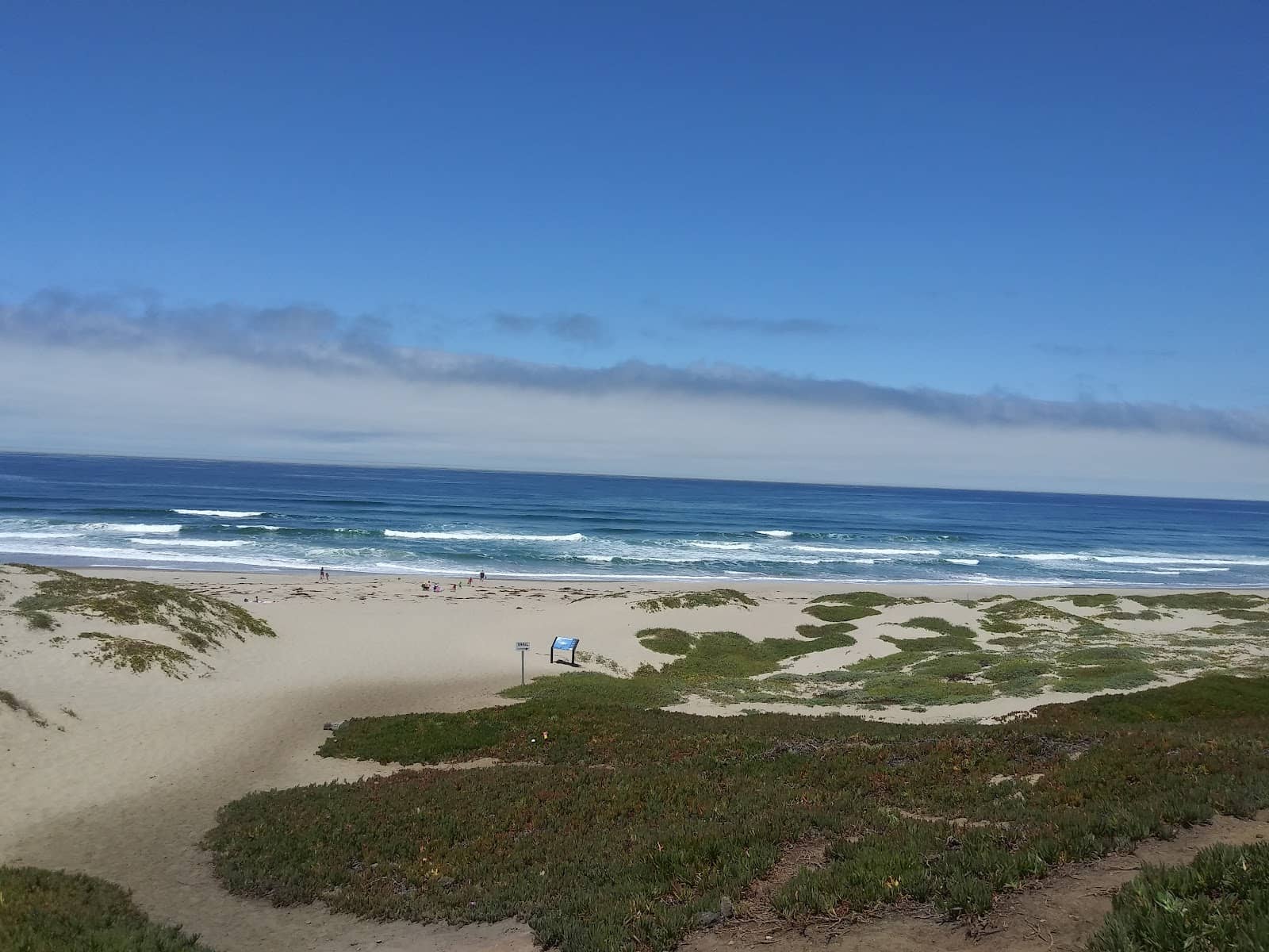 Coastal Trail Views