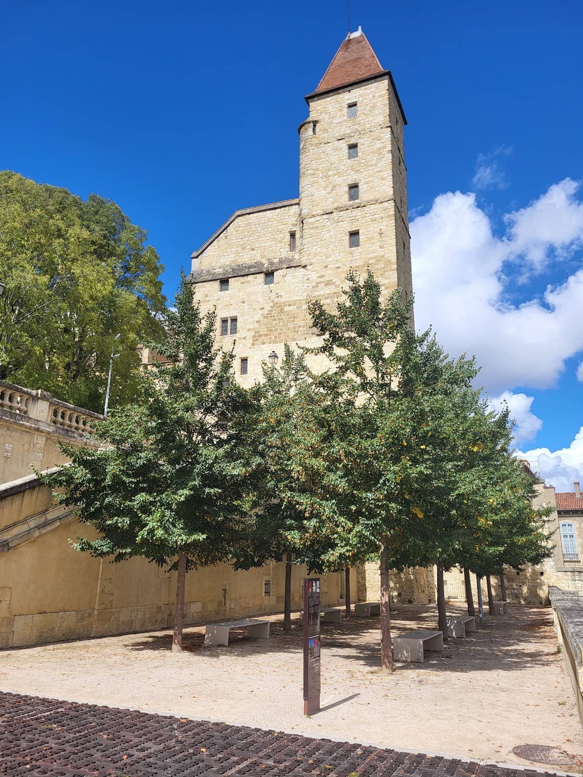 Panoramic Views from the Tower