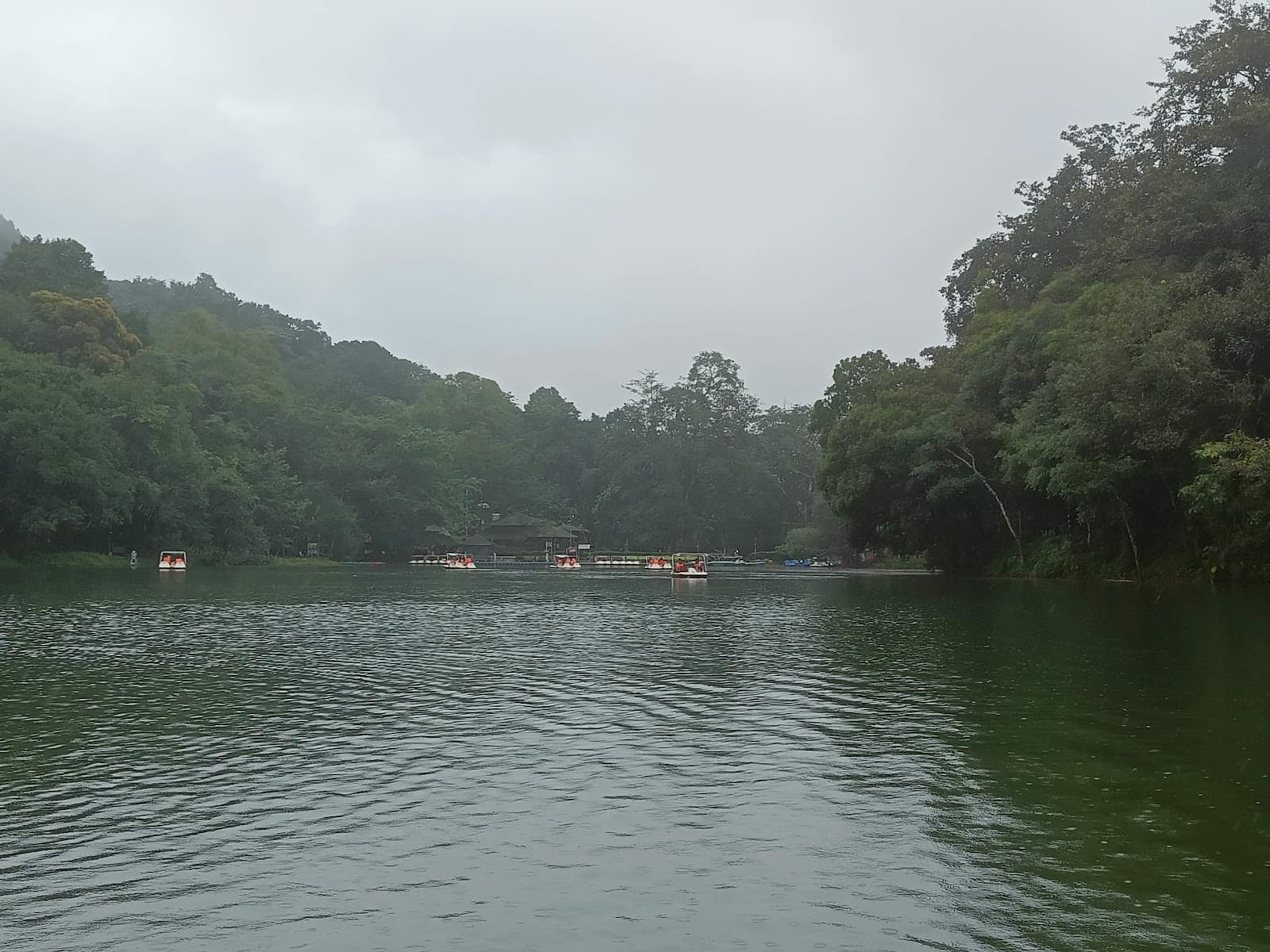 Pookode Lake - Image 1