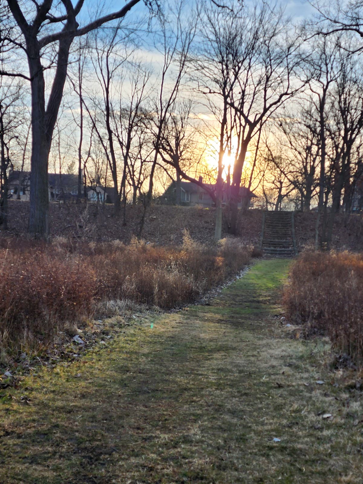 Swan Pond Park & Swinging Bridge - Image 1