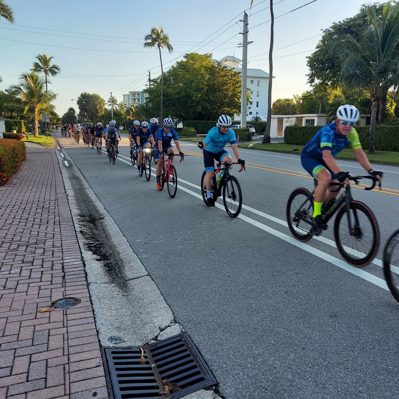 Gulf Shore Boulevard - Image 1