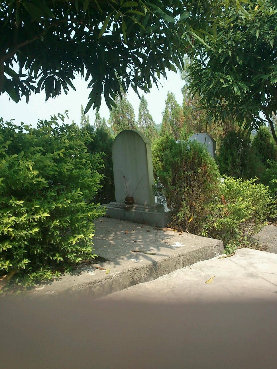 Vertical photo