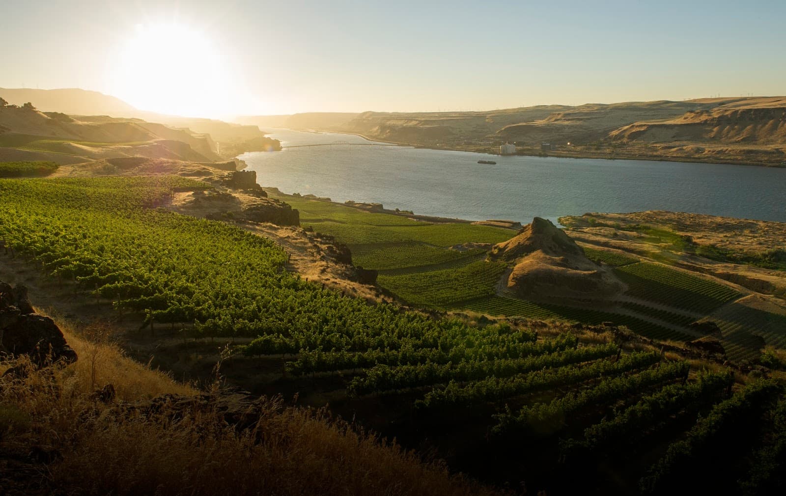 Maryhill Winery - Image 1