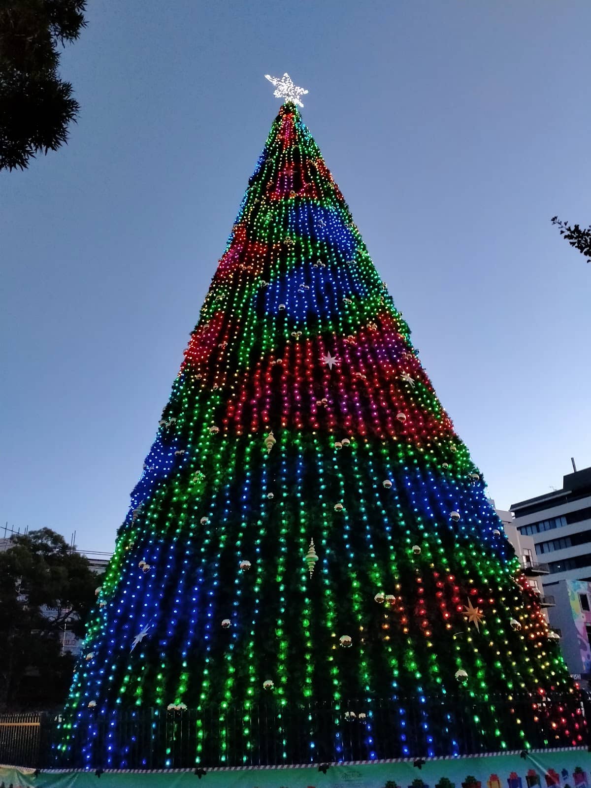 Vertical photo