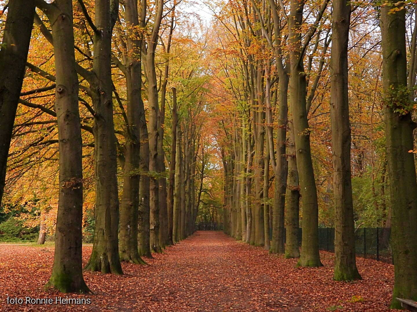 Nature and Relaxation