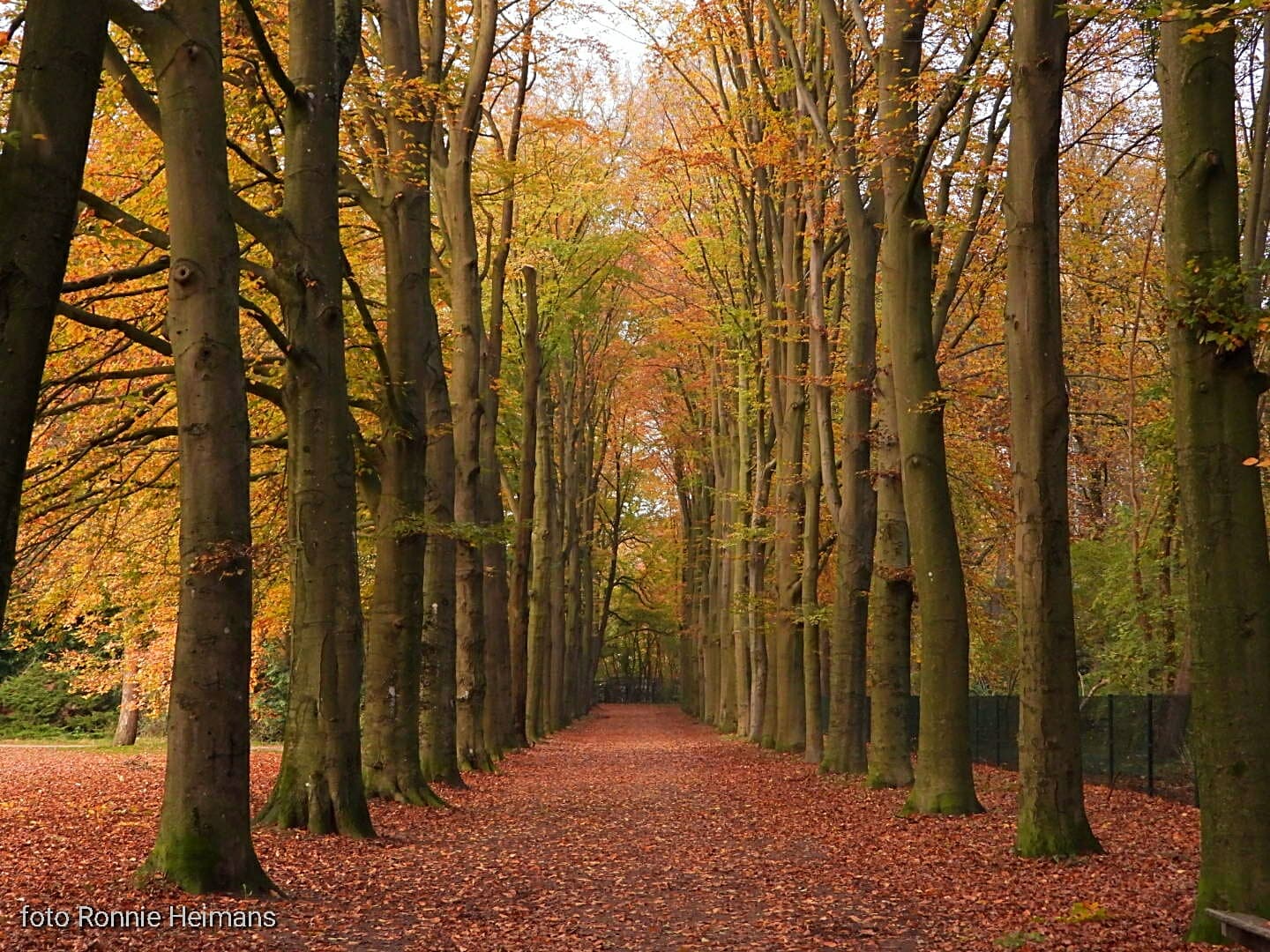 Park Brakkenstein - Image 1
