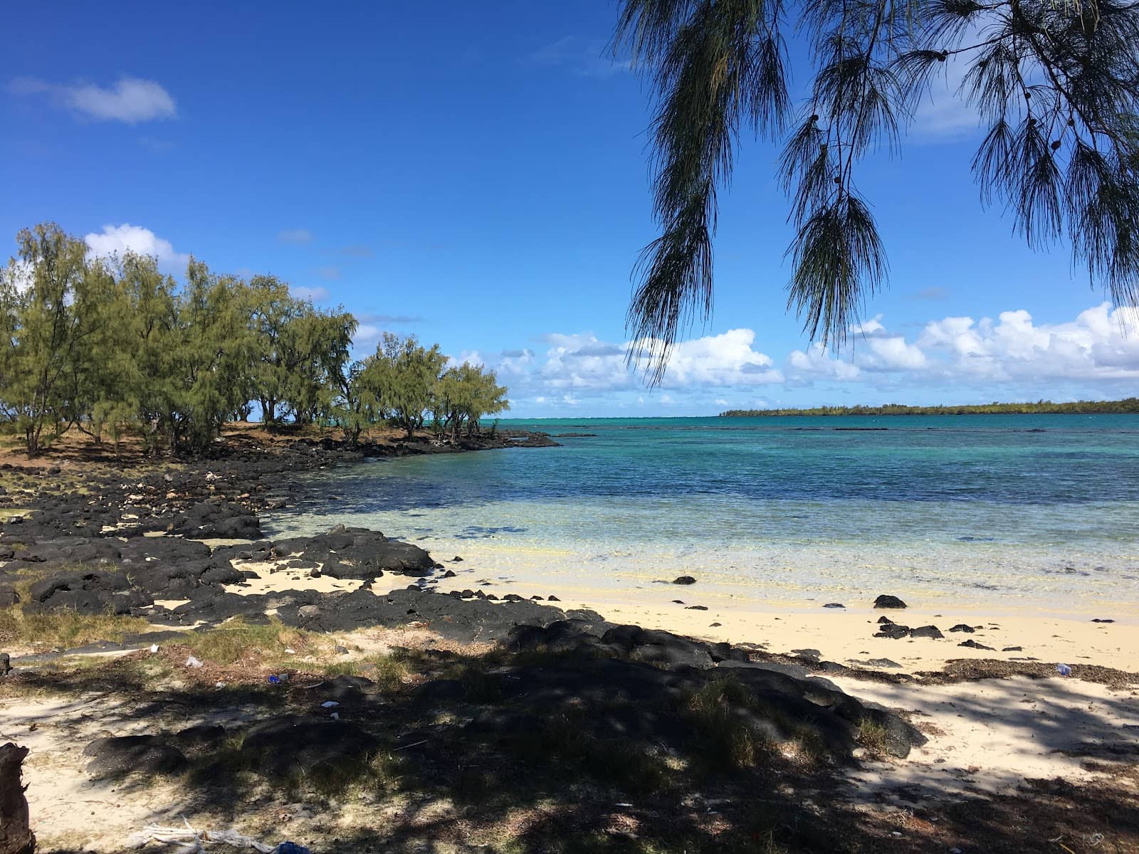 Beachside BBQ Experience