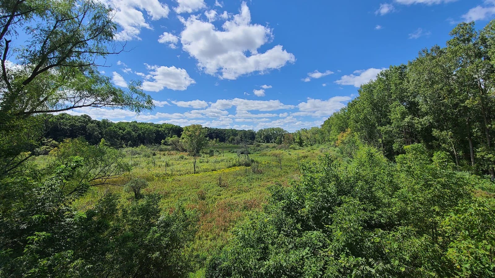Bow in the Clouds Preserve - Image 1