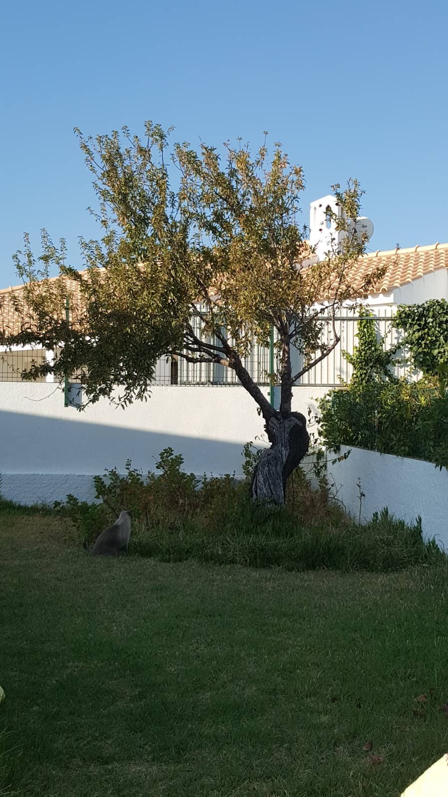 The Strip (Montechoro)