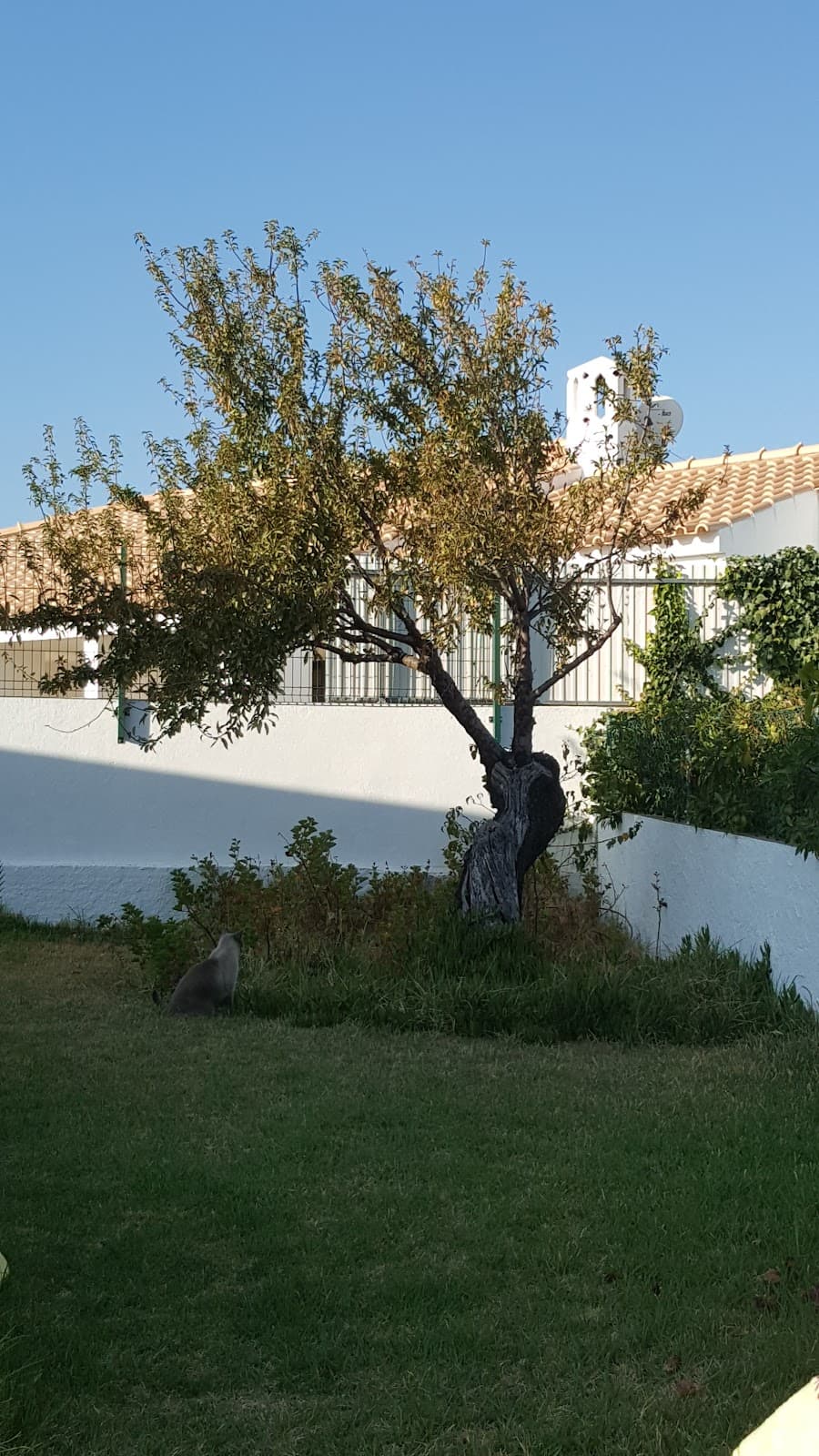 Areias de São João - Image 1