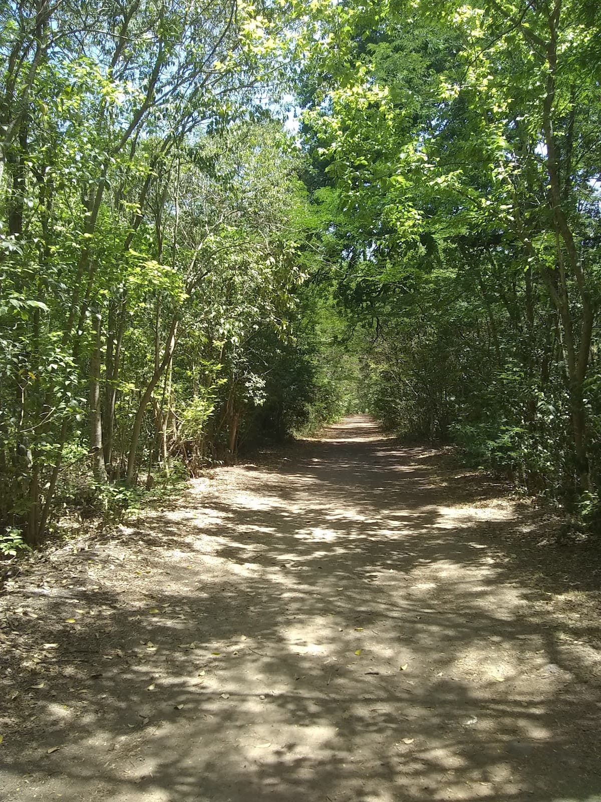 Quinta de Cigordia Park - Image 1