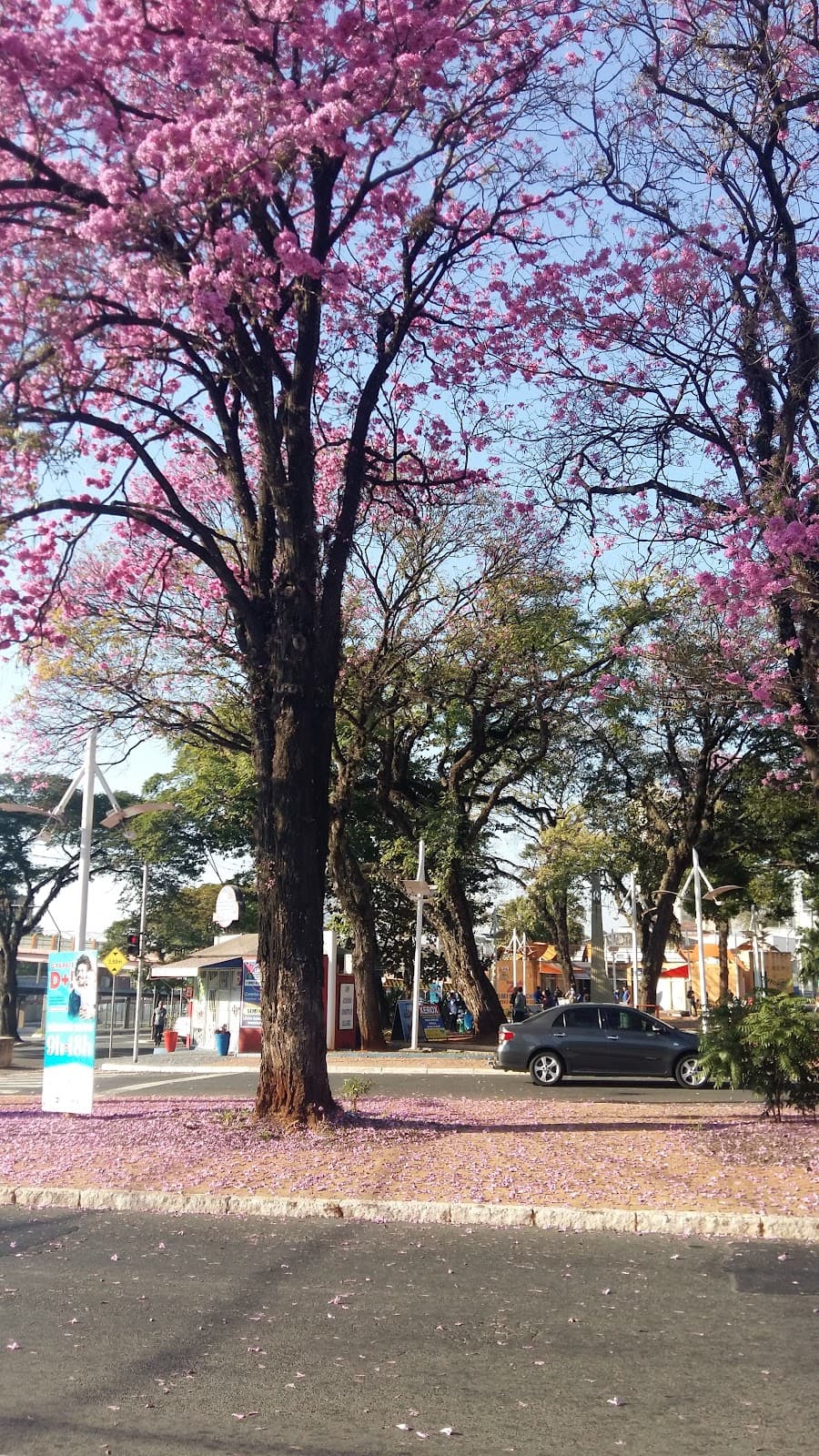 Praça Comendador Müller Americana São Paulo - Image 1