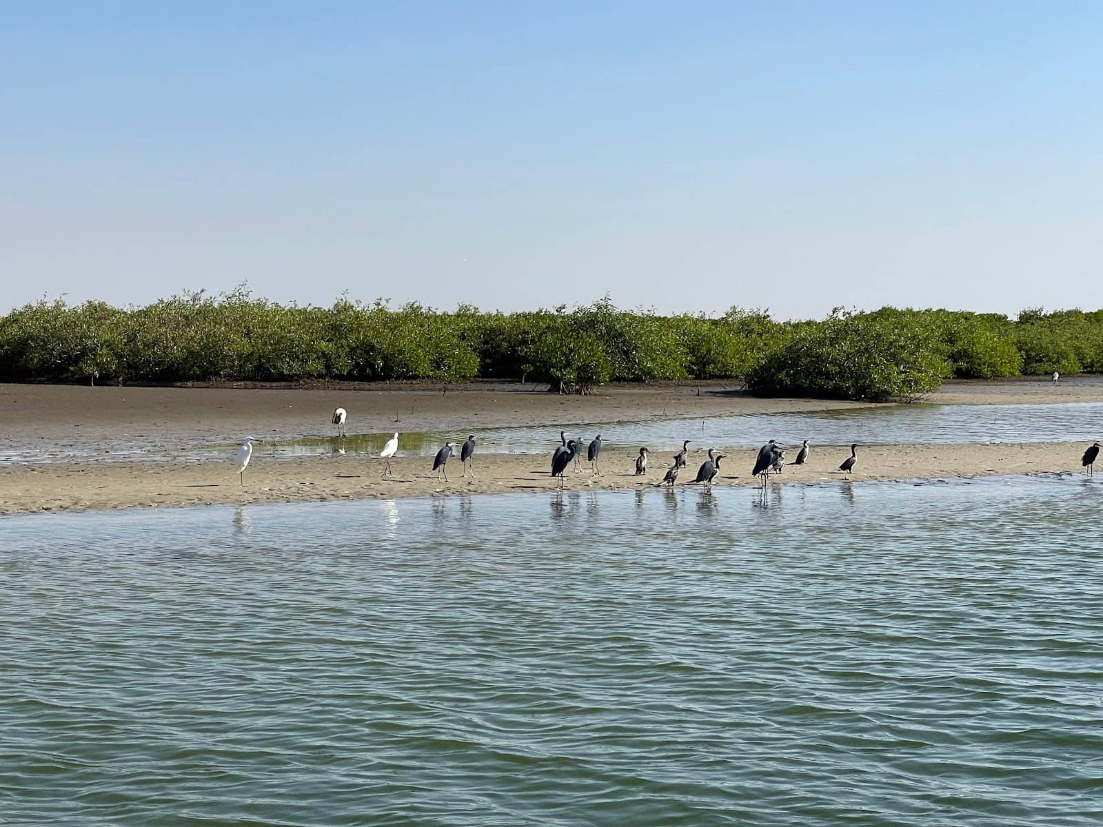 Birdwatching Paradise
