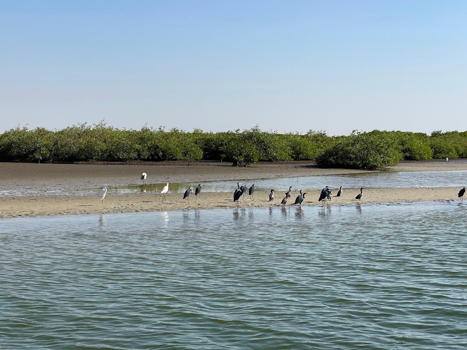 Sine-Saloum Delta - Image 1