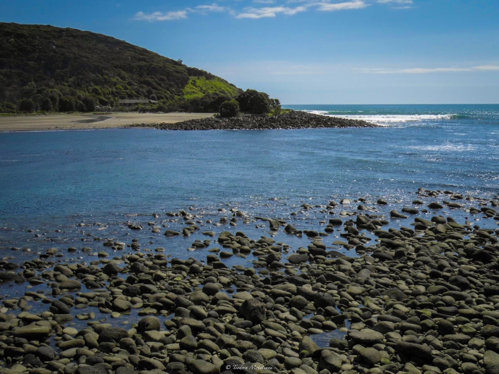 Whale Bay - Image 1