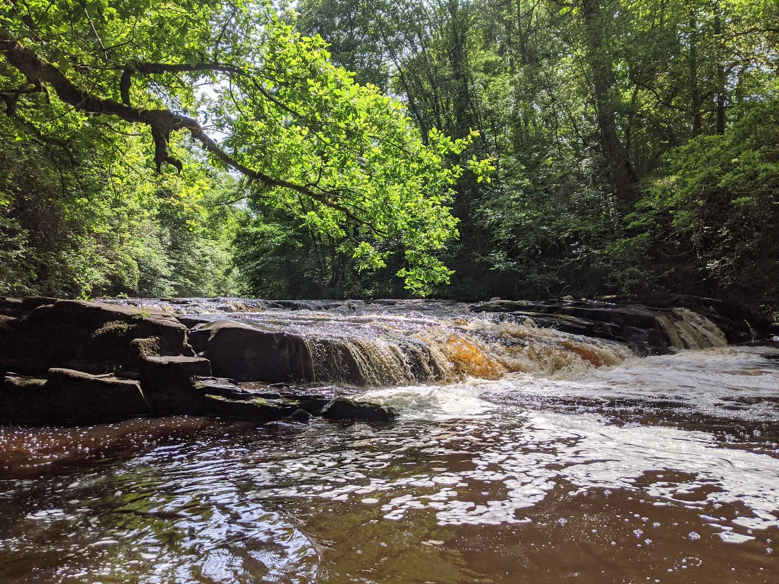 Cleghorn Glen - Image 1