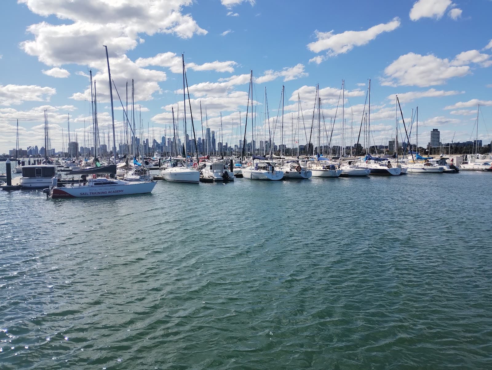 St Kilda Pier and Breakwater Penguins - Image 1