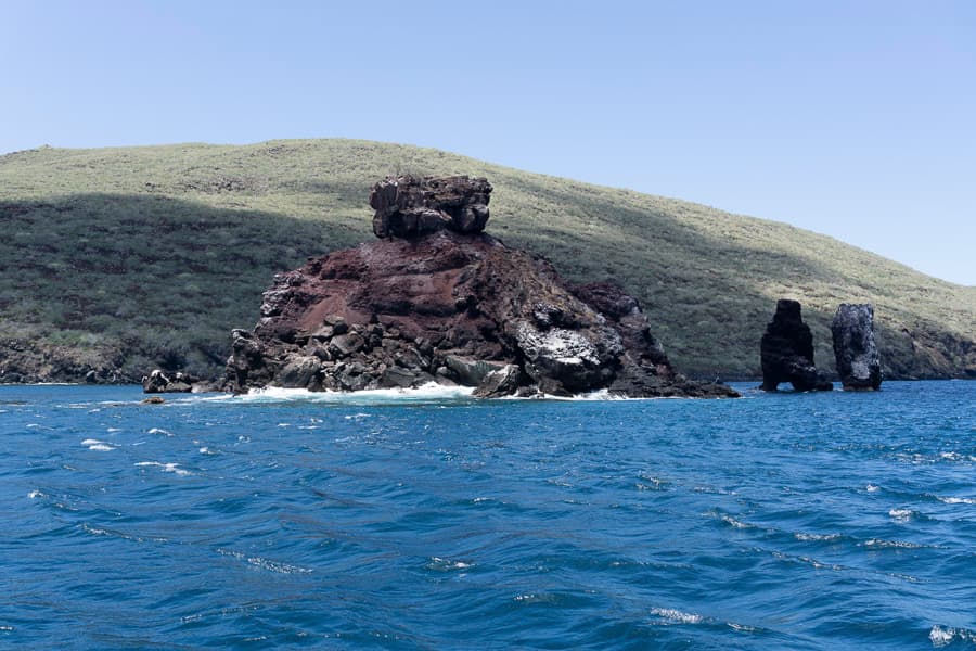 Pinzón Island - Image 1