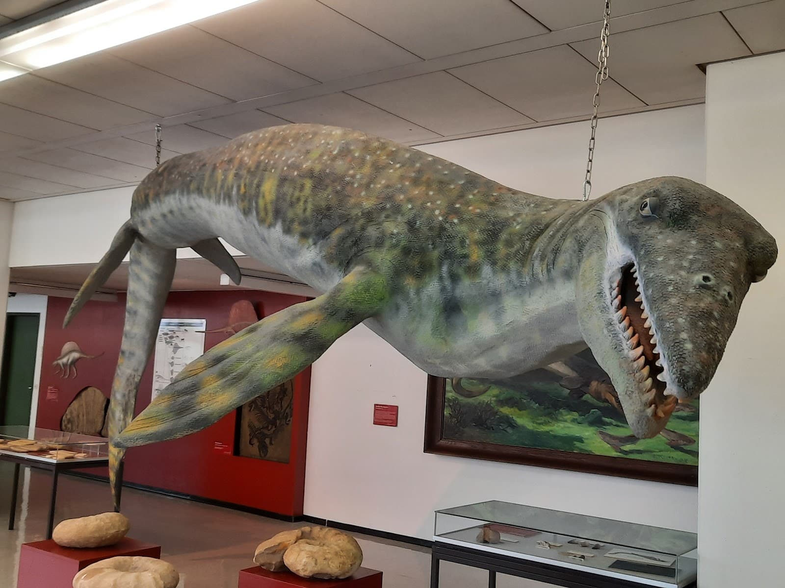 Geoscience Museum Göttingen - Image 1