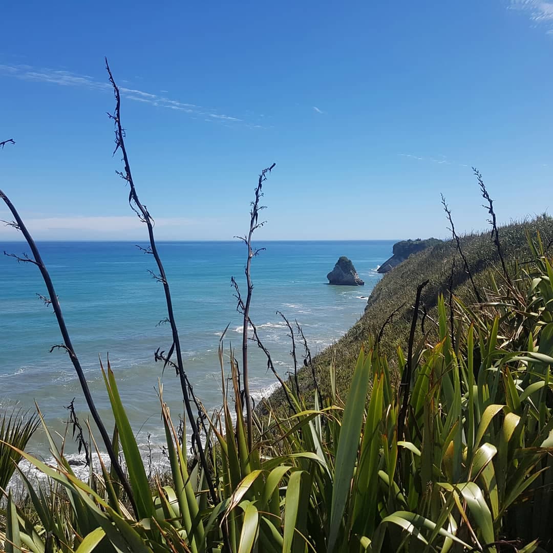 Point Elizabeth Walkway Greymouth - Image 1