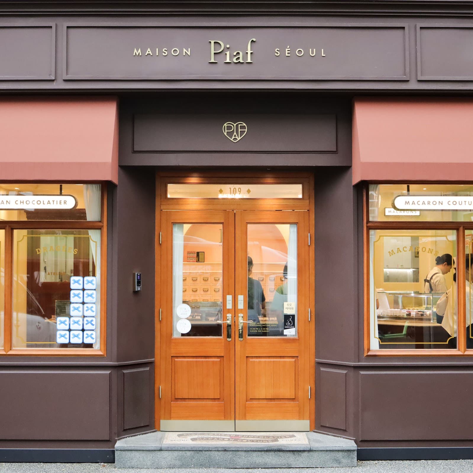 Starfox Artist Chocolate - Image 1