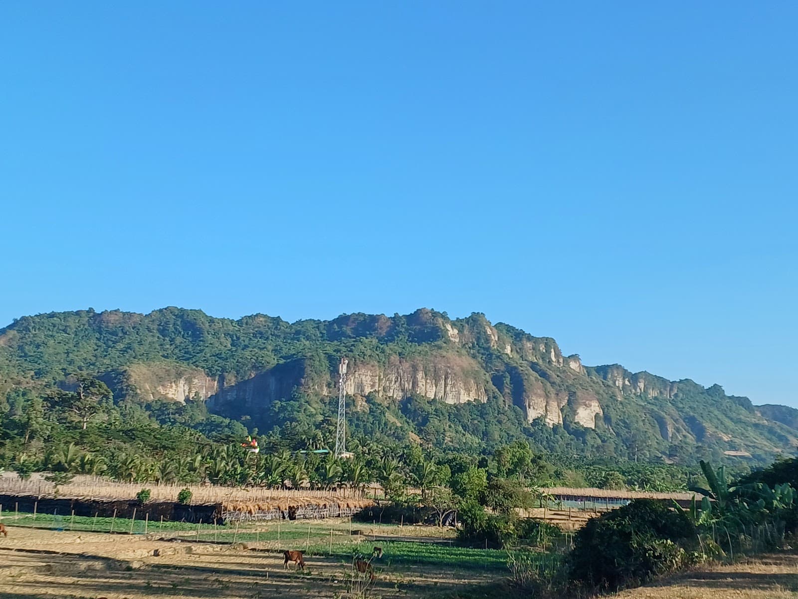 Teknaf Wildlife Sanctuary - Image 1