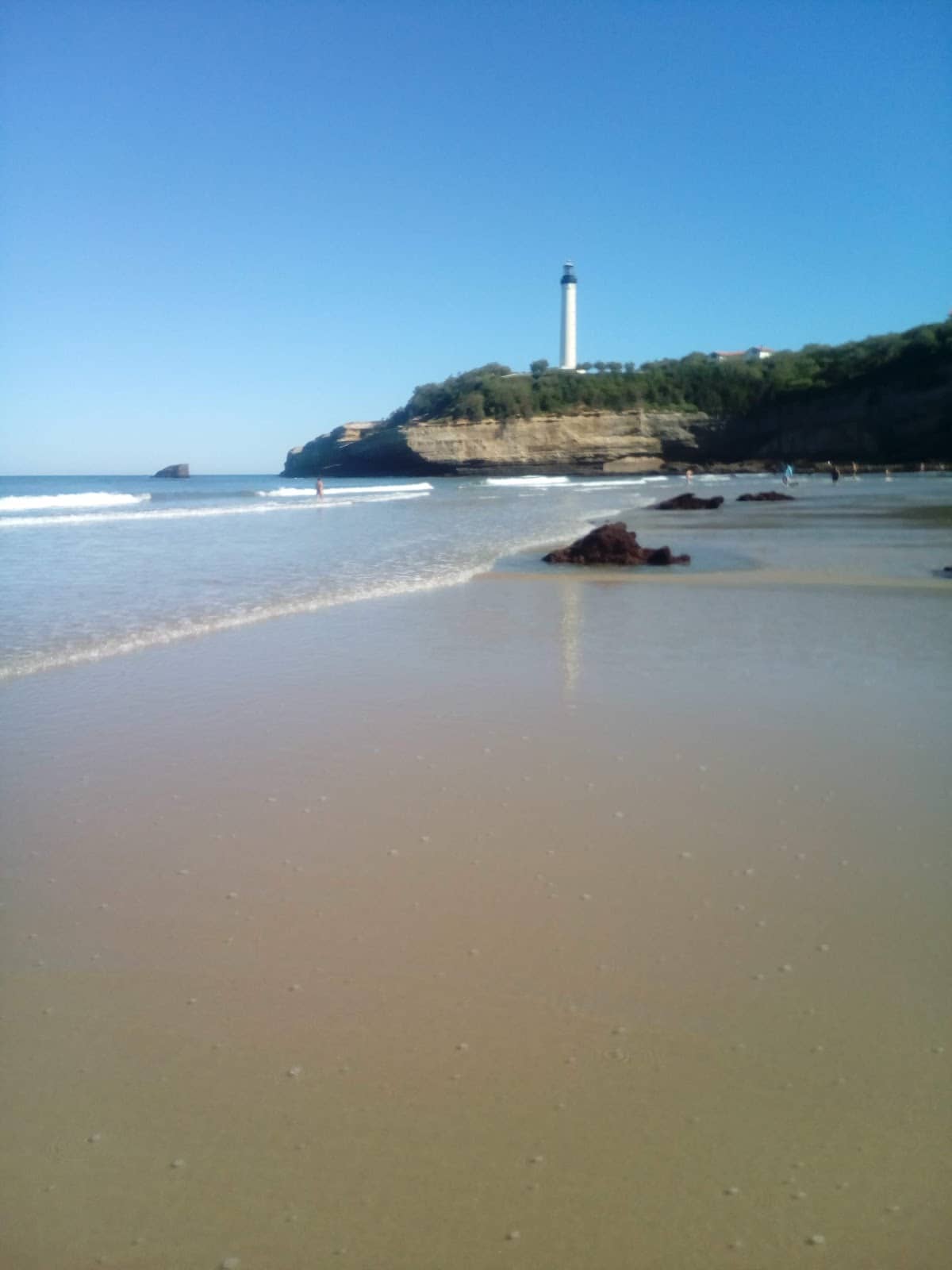 Vertical photo