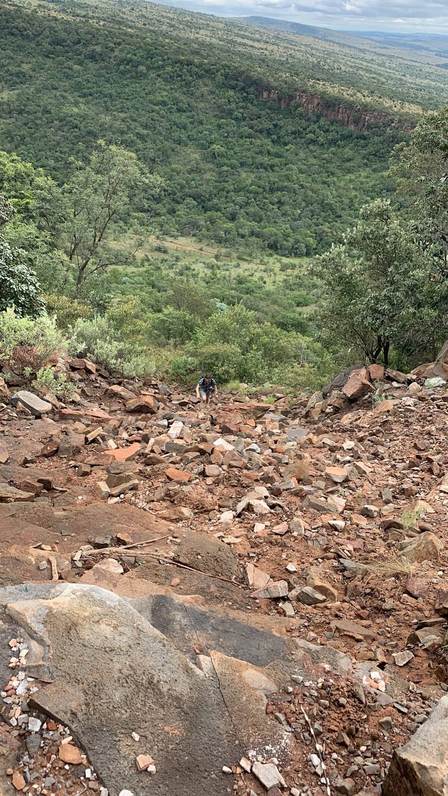 The Dam and Unique Wildlife