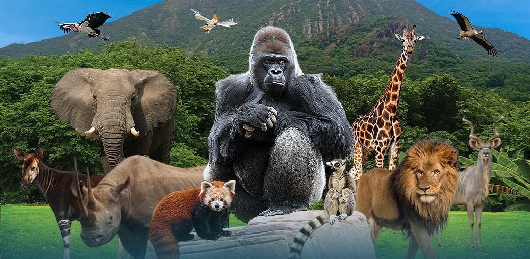 Zoo du Bassin d’Arcachon - Image 1